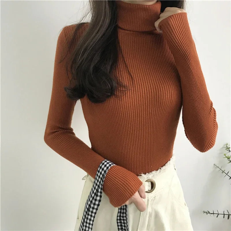 Ribbed Turtleneck Sweater