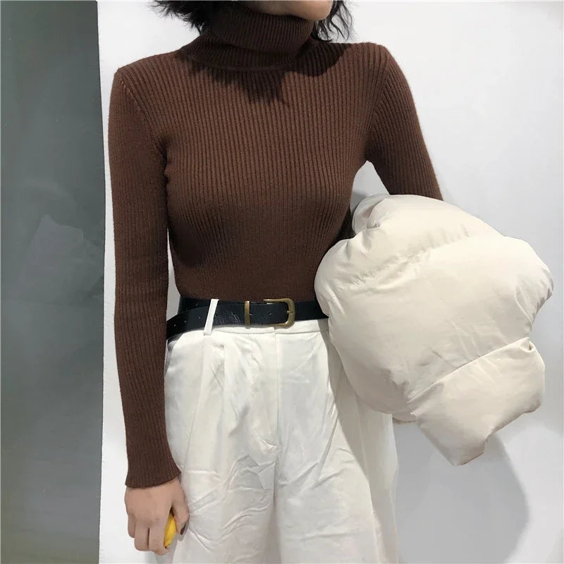 Ribbed Turtleneck Sweater