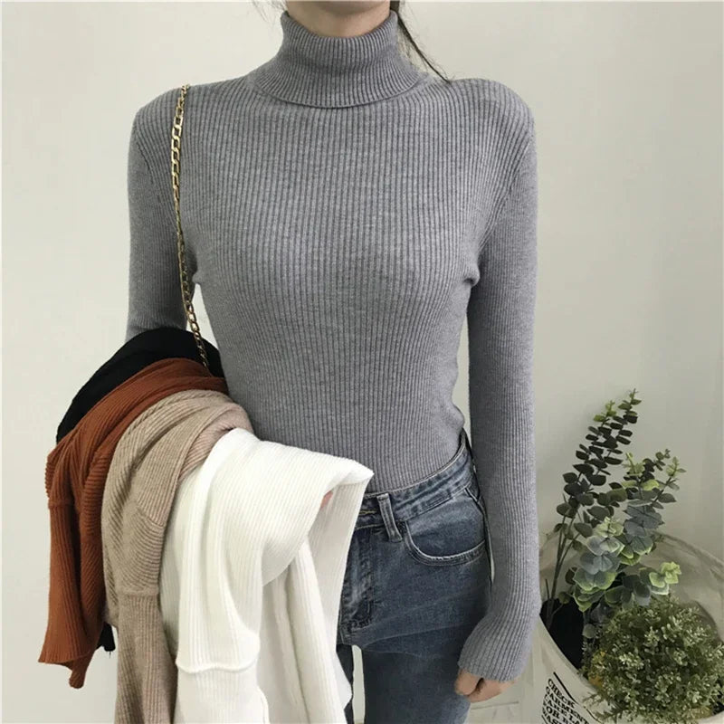 Ribbed Turtleneck Sweater