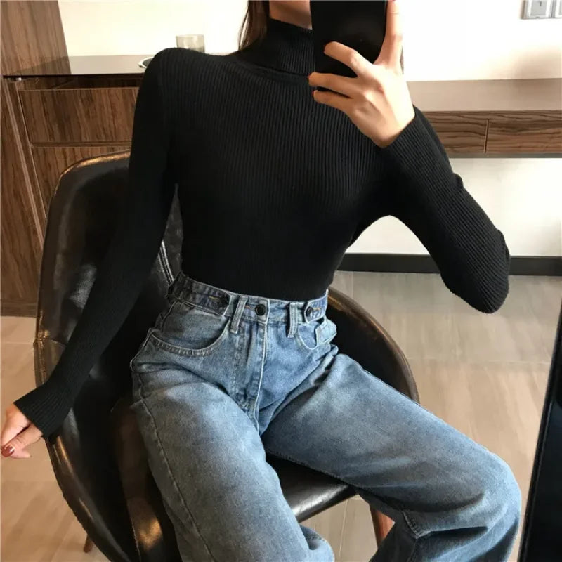 Ribbed Turtleneck Sweater