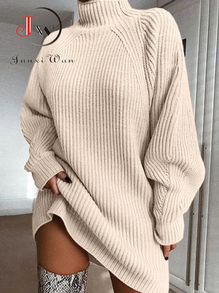 Women’s Turtleneck Sweater Dress