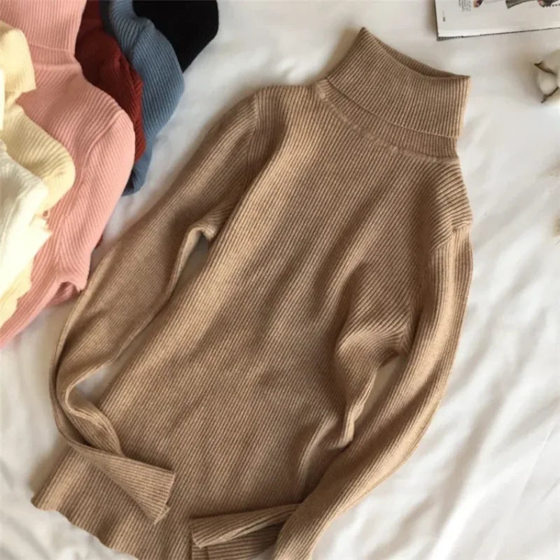 Ribbed Turtleneck Sweater